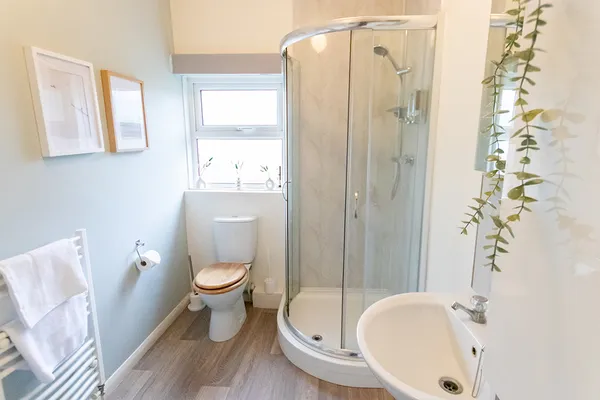 Shower room with toilet and sink basin